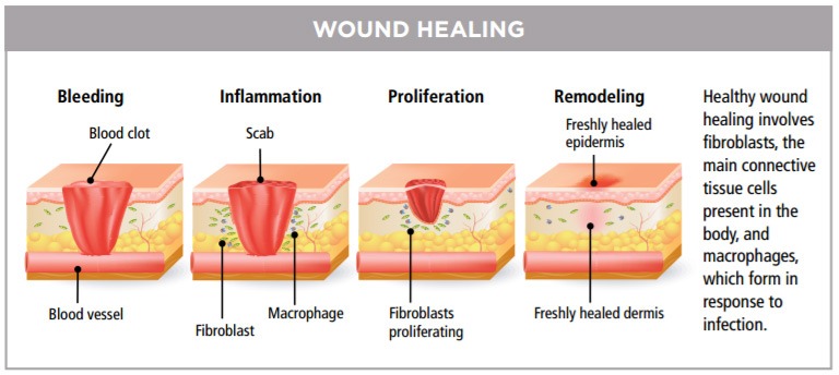 wound treatment center near me