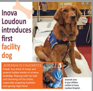 photo of golden retriever with medical vest sitting in patient care area