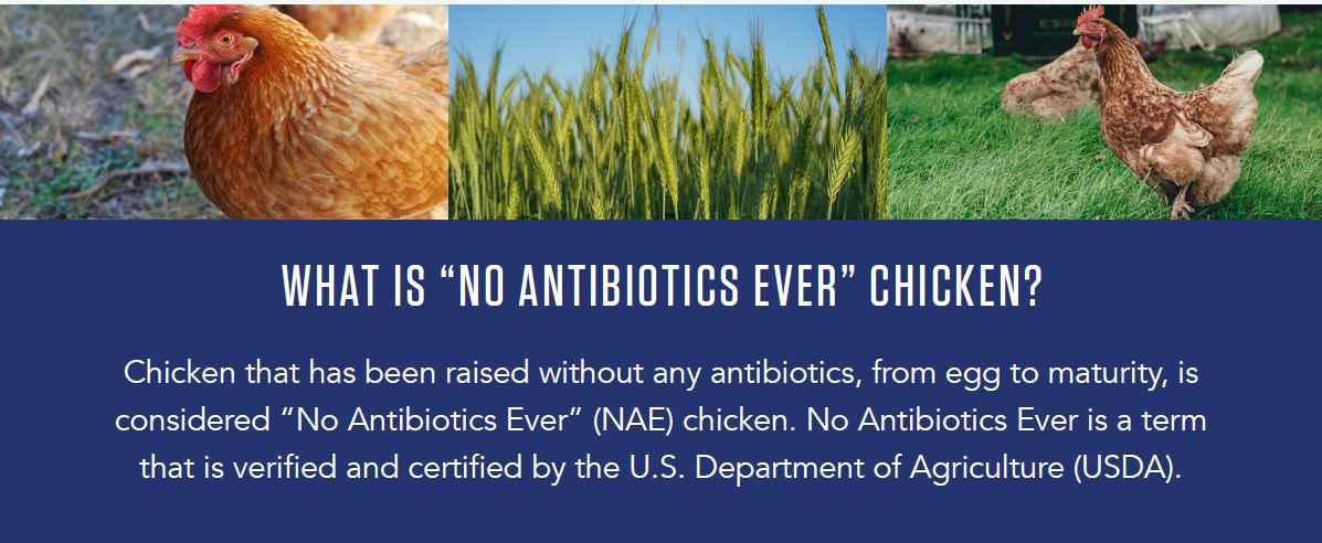 pictures of live chickens in the grass and a definition of "no antibiotics ever"