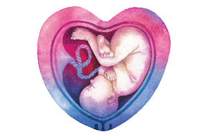 Inova Children's Heart Program cares for babies in utero.