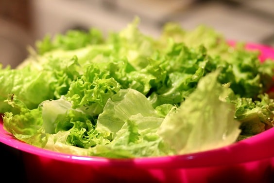 A Guide To E Coli And Foodborne Illnesses Inova Newsroom
