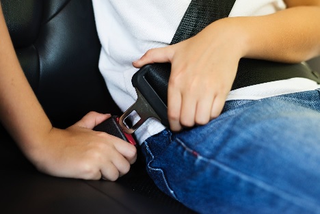 closeup of a seat belt being buckled